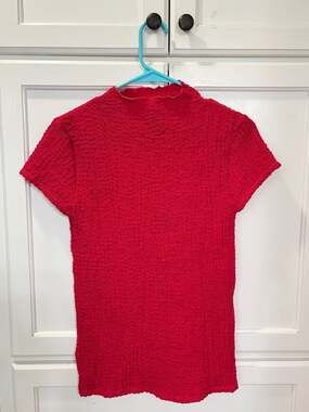 Violet b. Fire Y2K Red Textured Mock Neck Short Sleeve Top Small